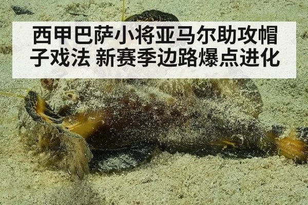西甲巴萨小将亚马尔助攻帽子戏法 新赛季边路爆点进化